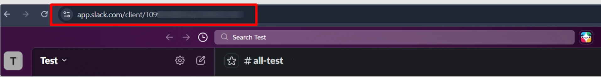 Slack Team ID