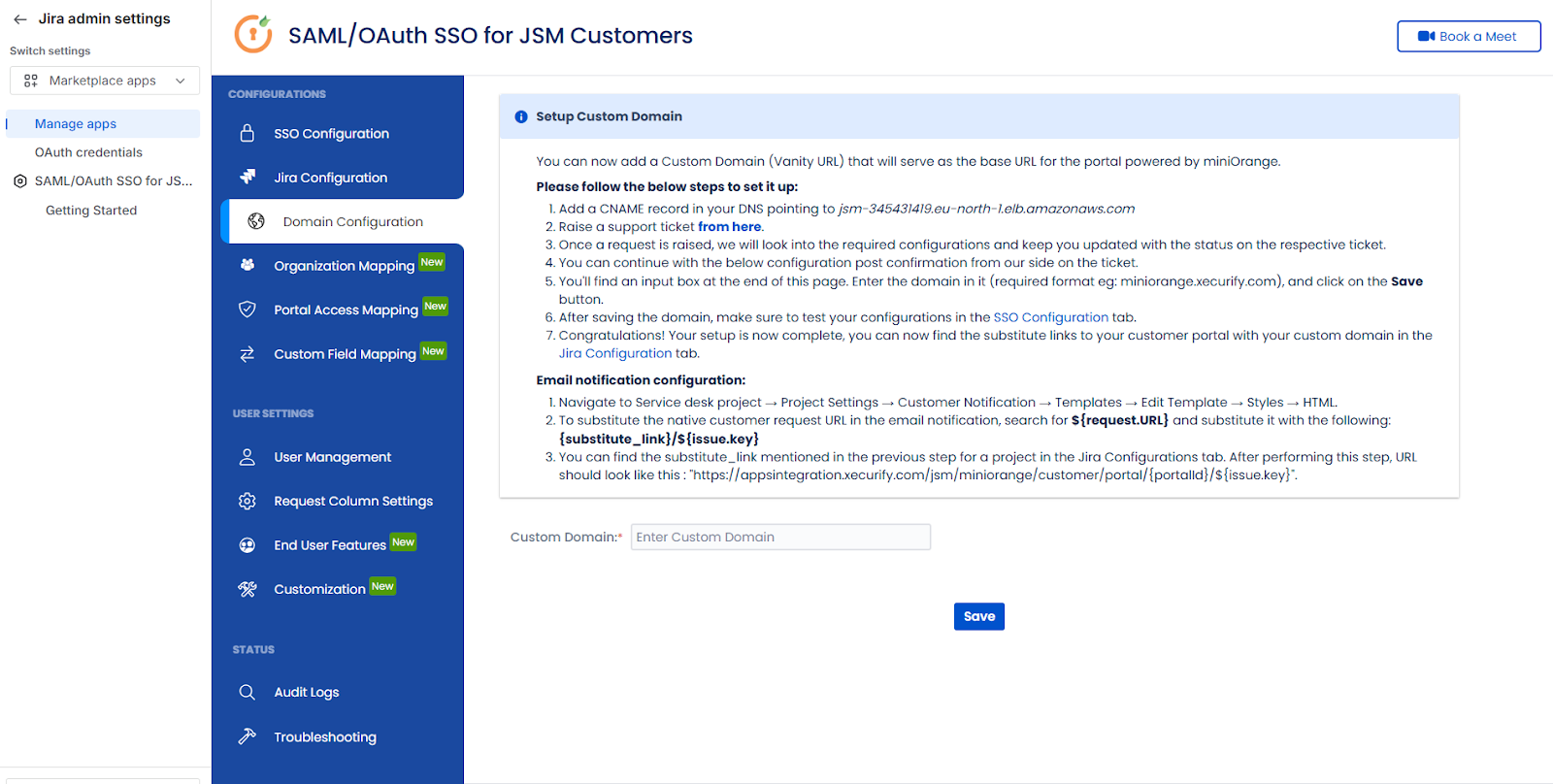The Domain Configuration tab showing CNAME setup instructions and the custom domain input field