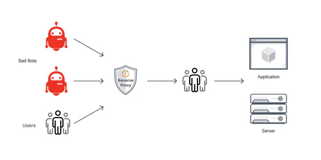 Proxy Traffic: What it is and How Can you Detect and Stop It