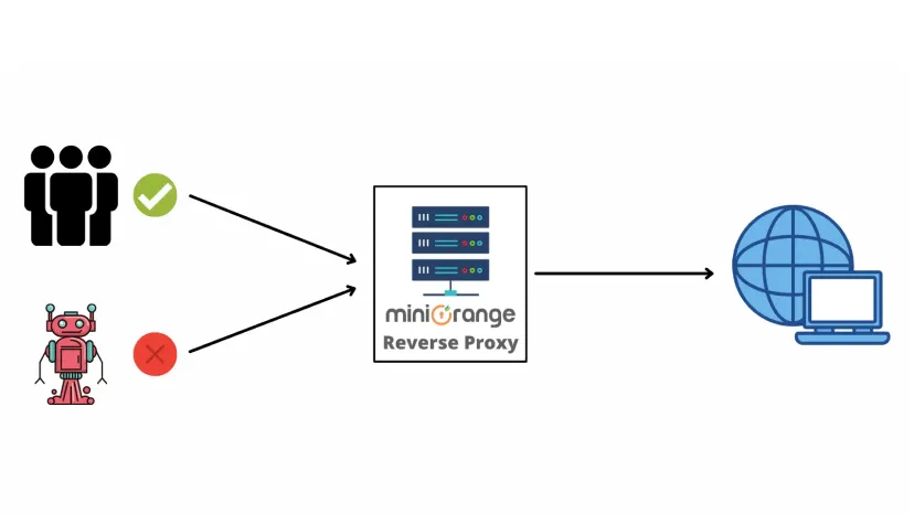 Use Rotating Proxy in Diabolic Traffic Bot - Free Proxy Blog