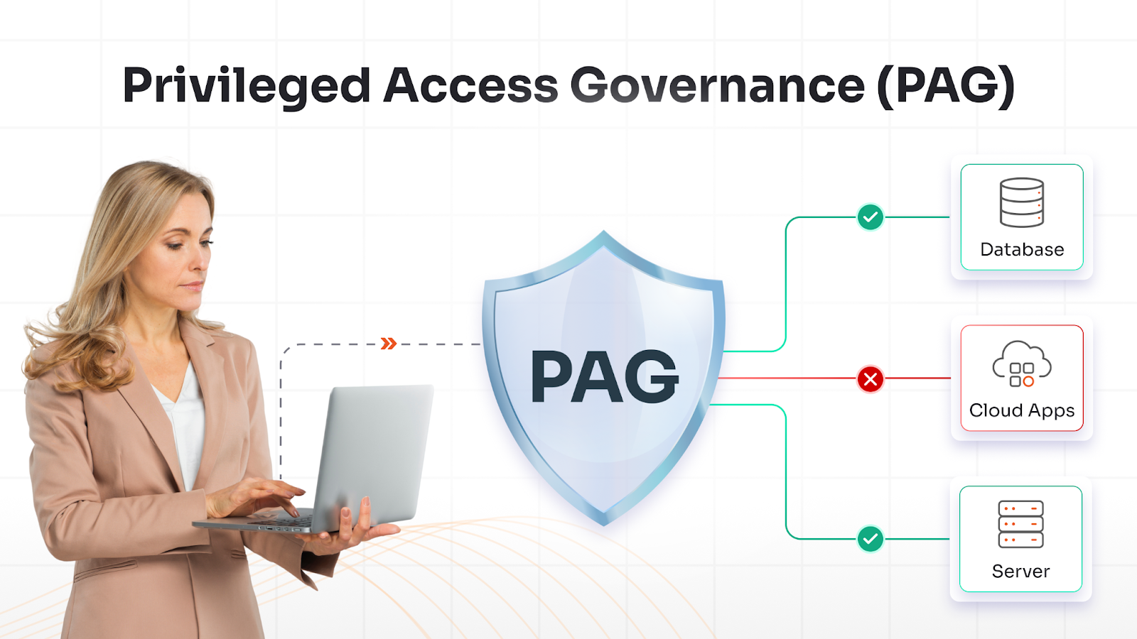 Privileged Access Governance (PAG)