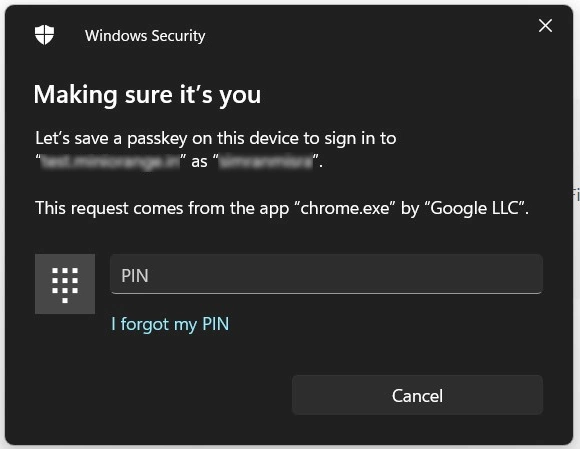 Windows security