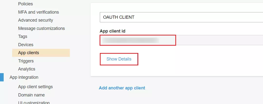 OAuth/OpenID/OIDC Single Sign On (SSO), AWS cognito SSO Login Add app client