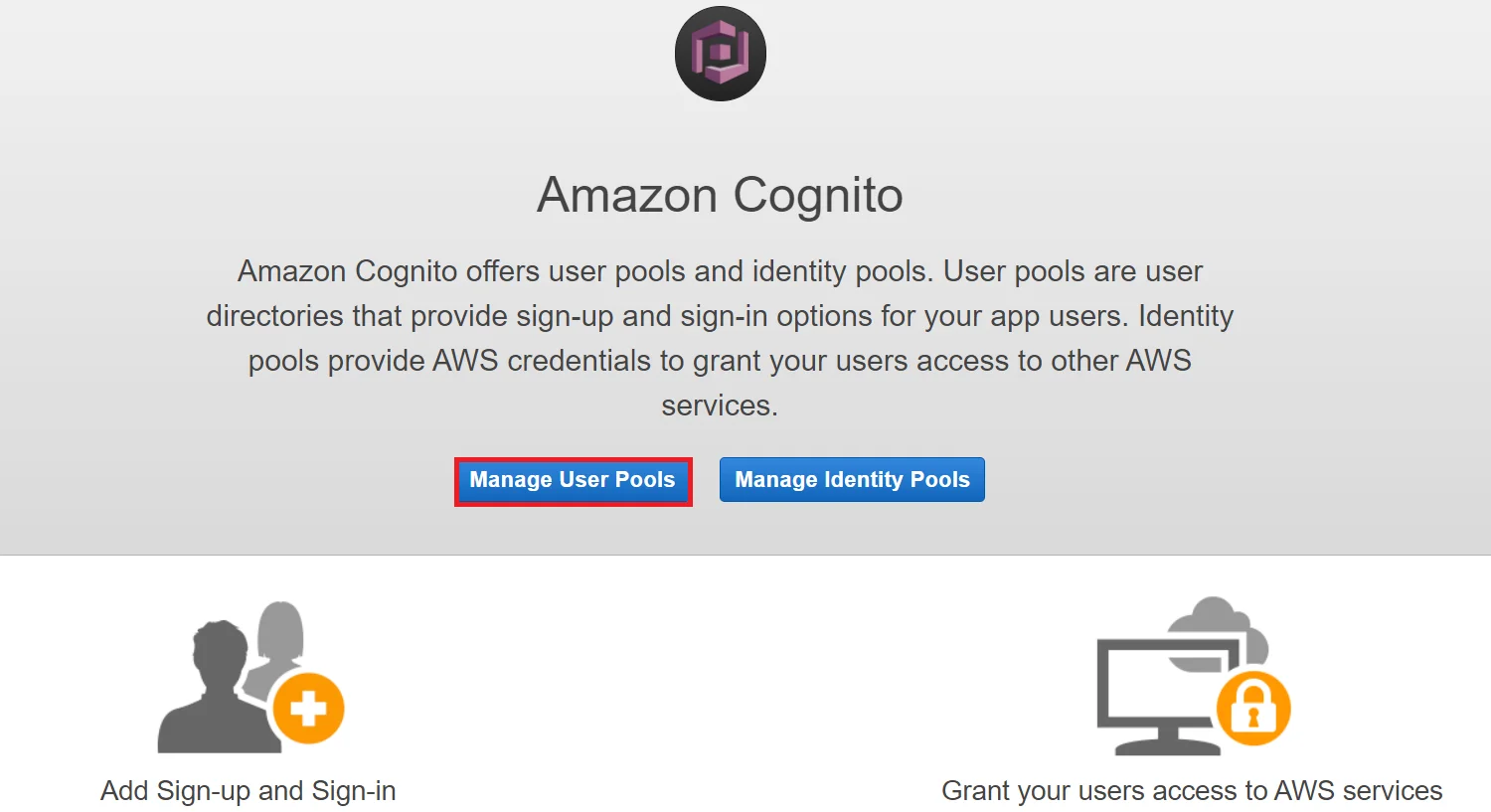 AWS Cognito OAuth/OpenID Single Sign On (SSO) : User Pools