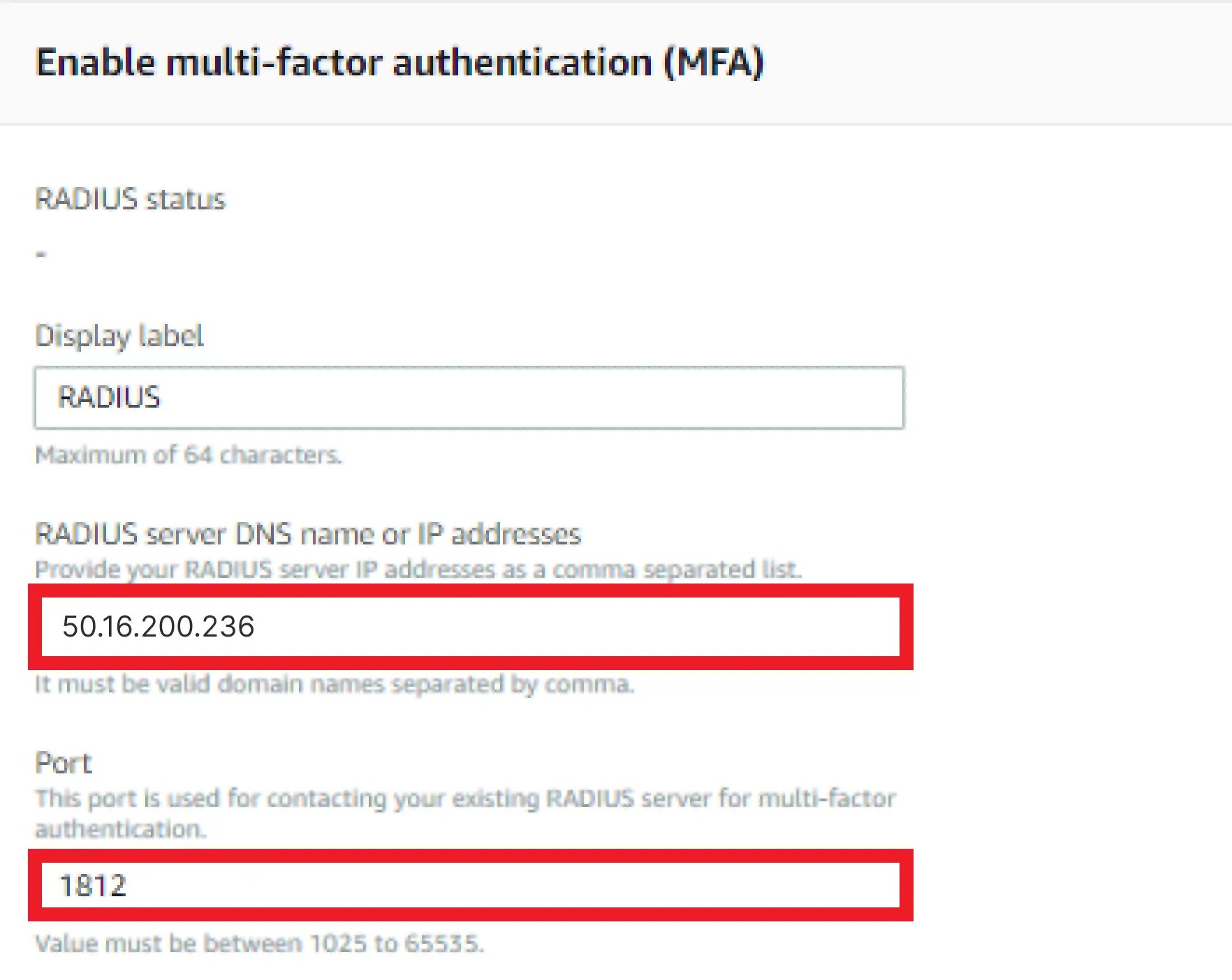 AWS WorkSpaces MFA details