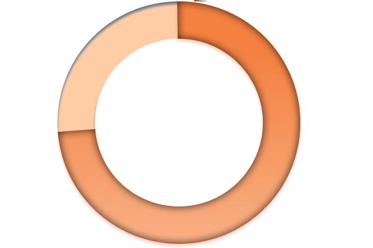 Don’t let Shadow IT haunt you Strengthen your Organizational Security Posture