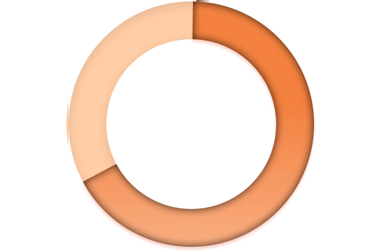 Don’t let Shadow IT haunt you Strengthen your Organizational Security Posture