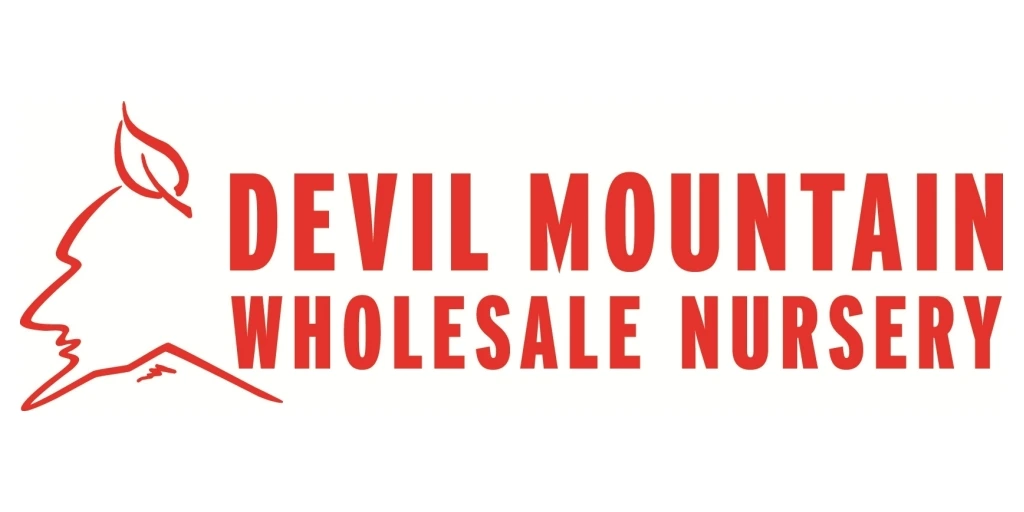 Devil Mountain Logo