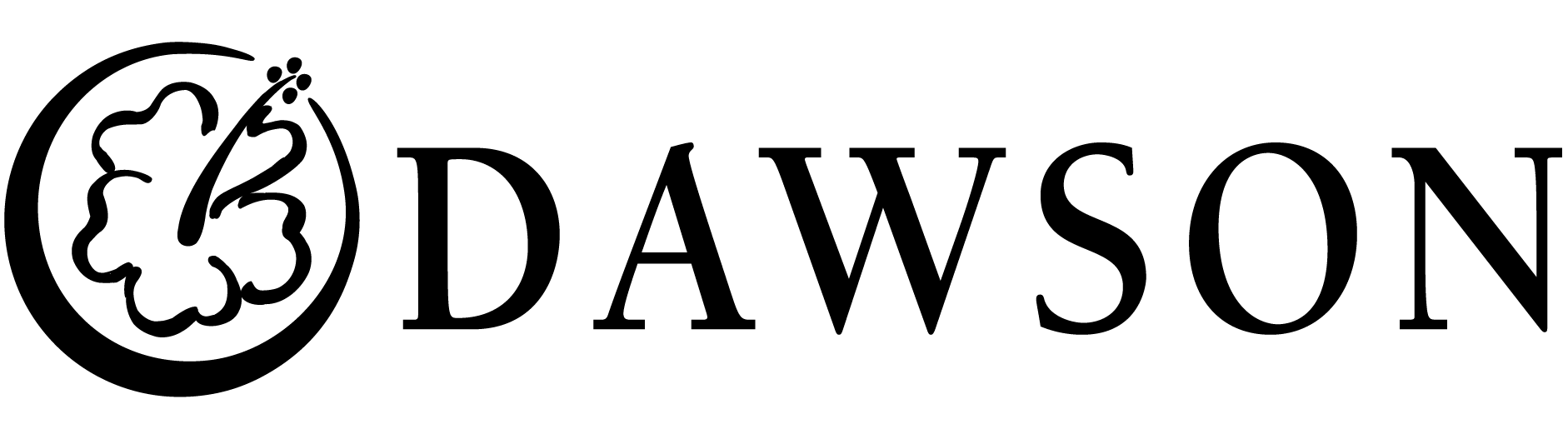 Dawson Ohana