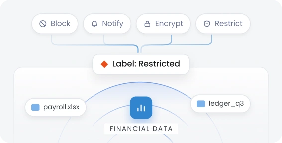 Label-Based DLP Policies
