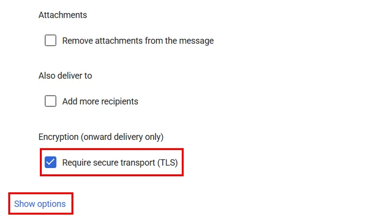 miniOrange Email DLP setup with Gmail and Google Workspace | TLS Options