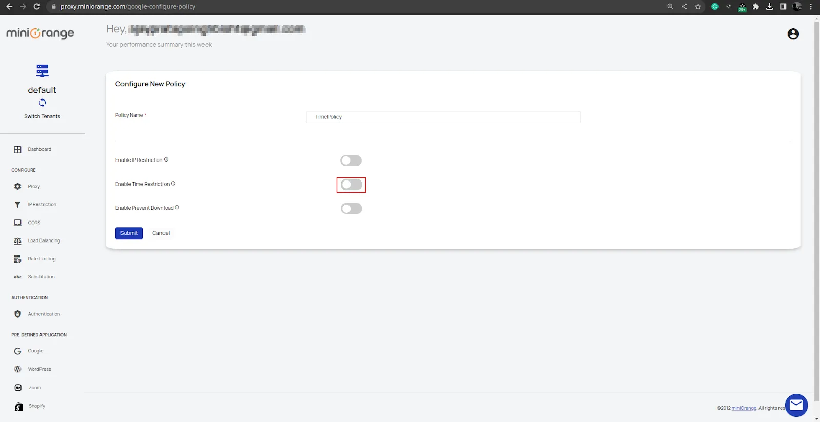 Google Access Restriction policies successfully ip restriction policy
