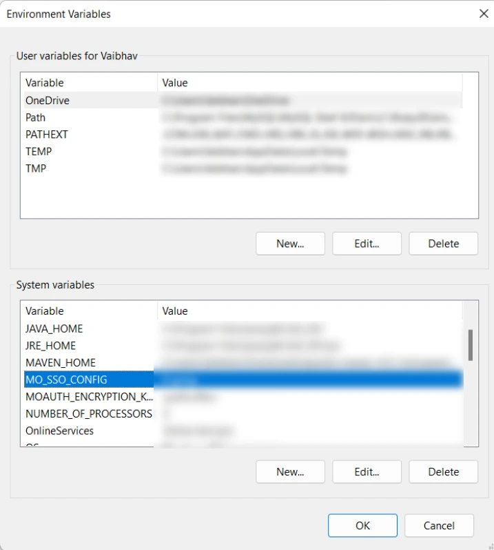 Java Single Sign-On (SSO) System Environment