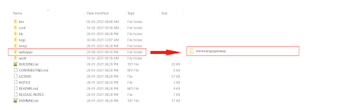 miniorange ldap gateway Deploy tomcat