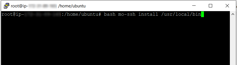 mo-linux-install