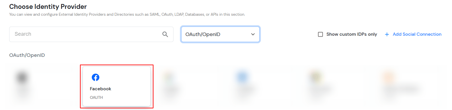 Select OAuth to setup Vue.js as IDP : Select Facebook OAuth 2.0