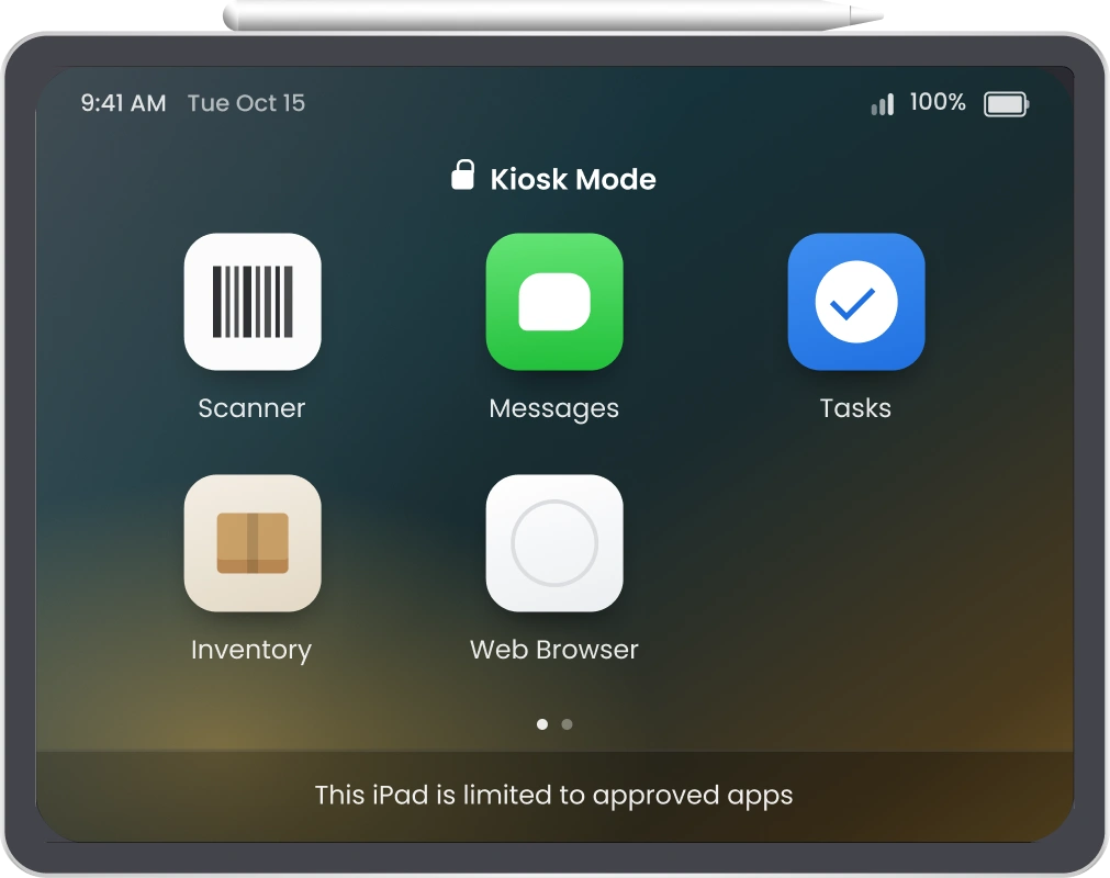 multi-app mode on iPad