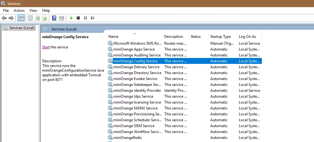 Windows Services showing miniOrange services being started