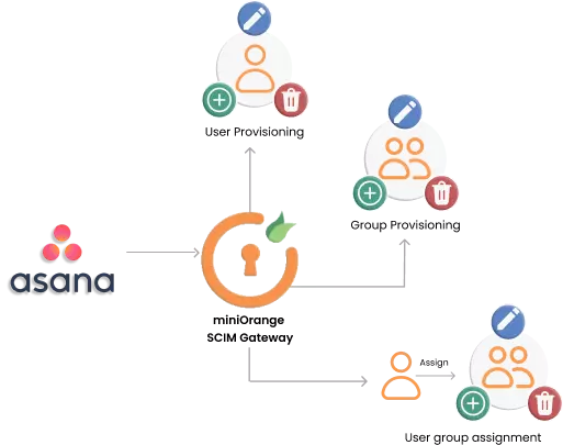 asana scim provisioning diagram