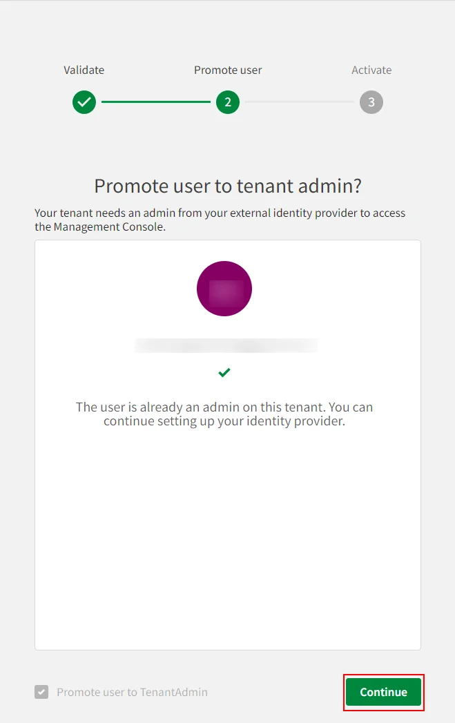 Qlik Cloud Single Sign On (SSO) click continue