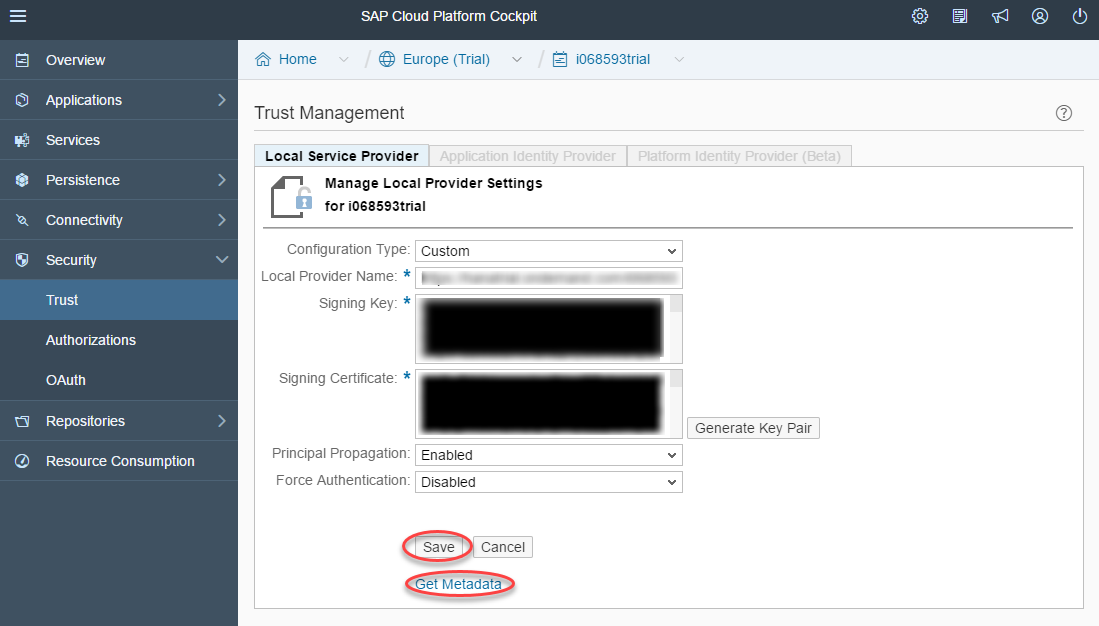 sap cloud platform metadata