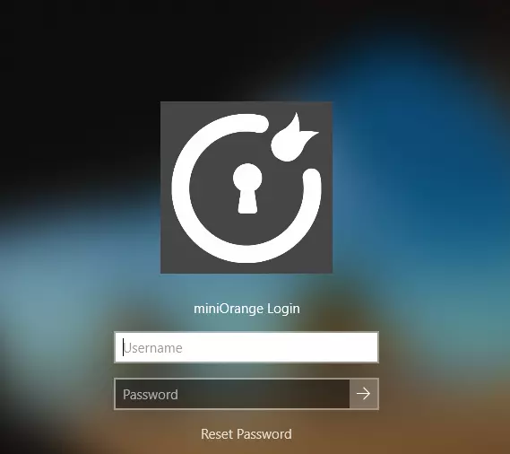 Windows two-factor authentication (2FA) login Page