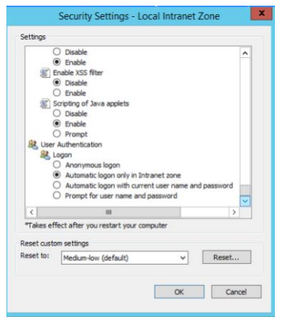 Security Setting: Local Intranet Zone